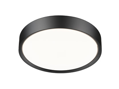 1 Light Flush Mount