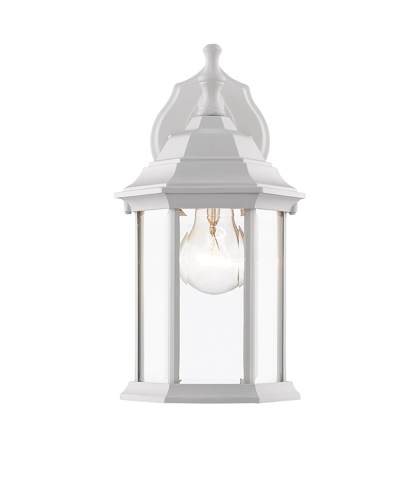 Waterdown Outdoor Wall Light